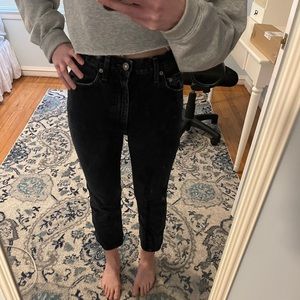 Agolde Pinch Waist Jeans